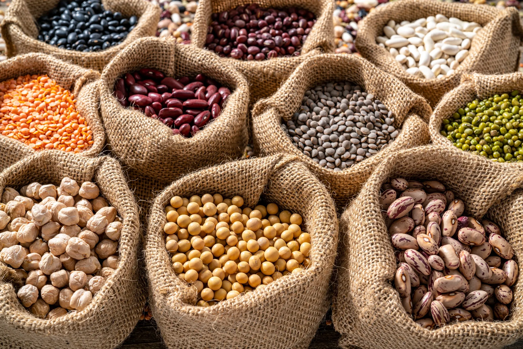 Pulses & Legumes